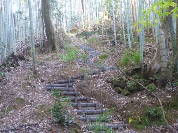 P1180319.JPG