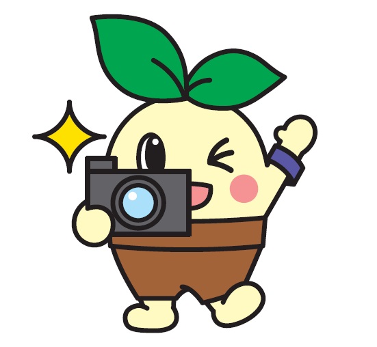 カメラ
