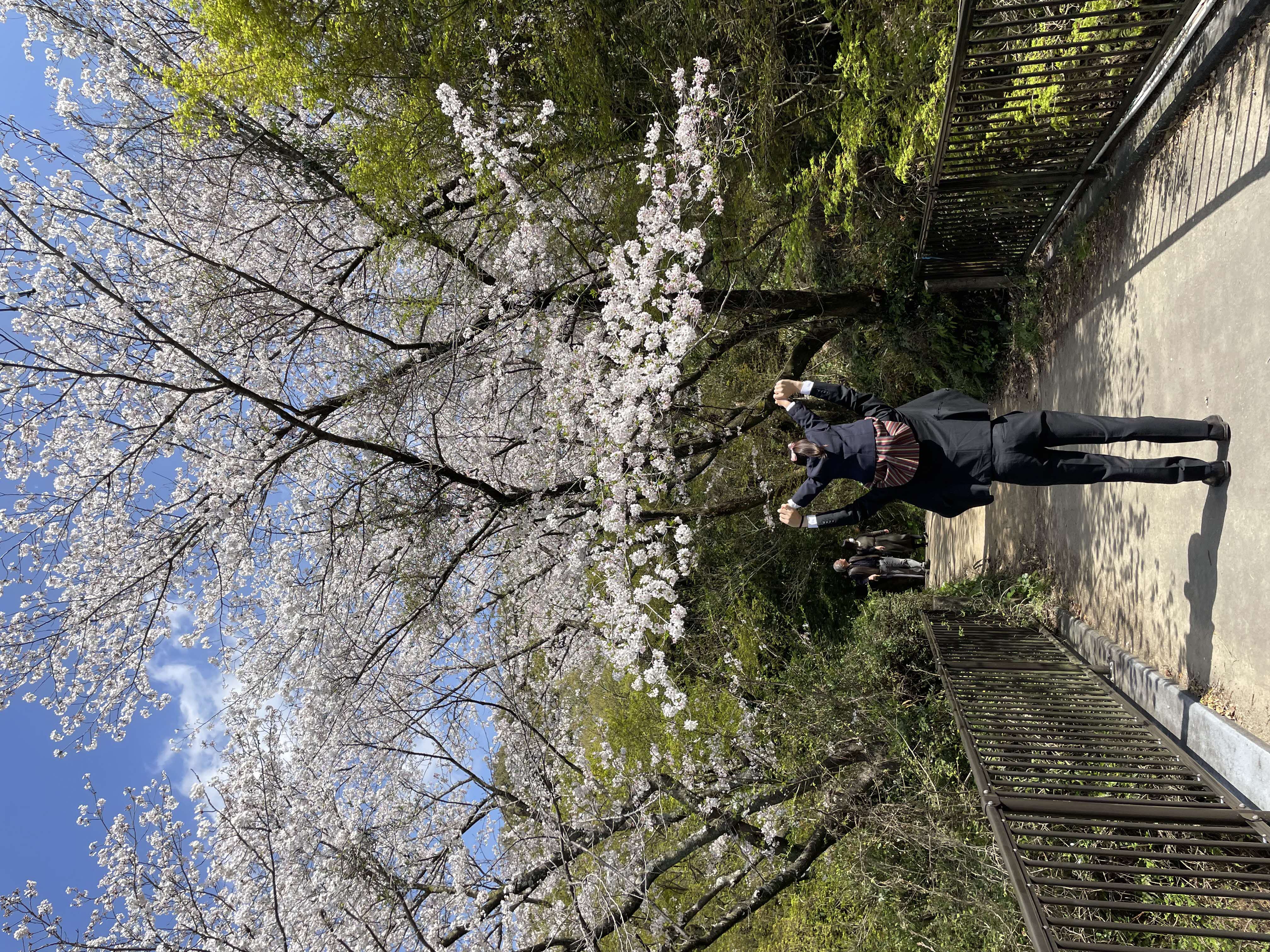 入選　祝 入園おめでとう！パパよりの画像