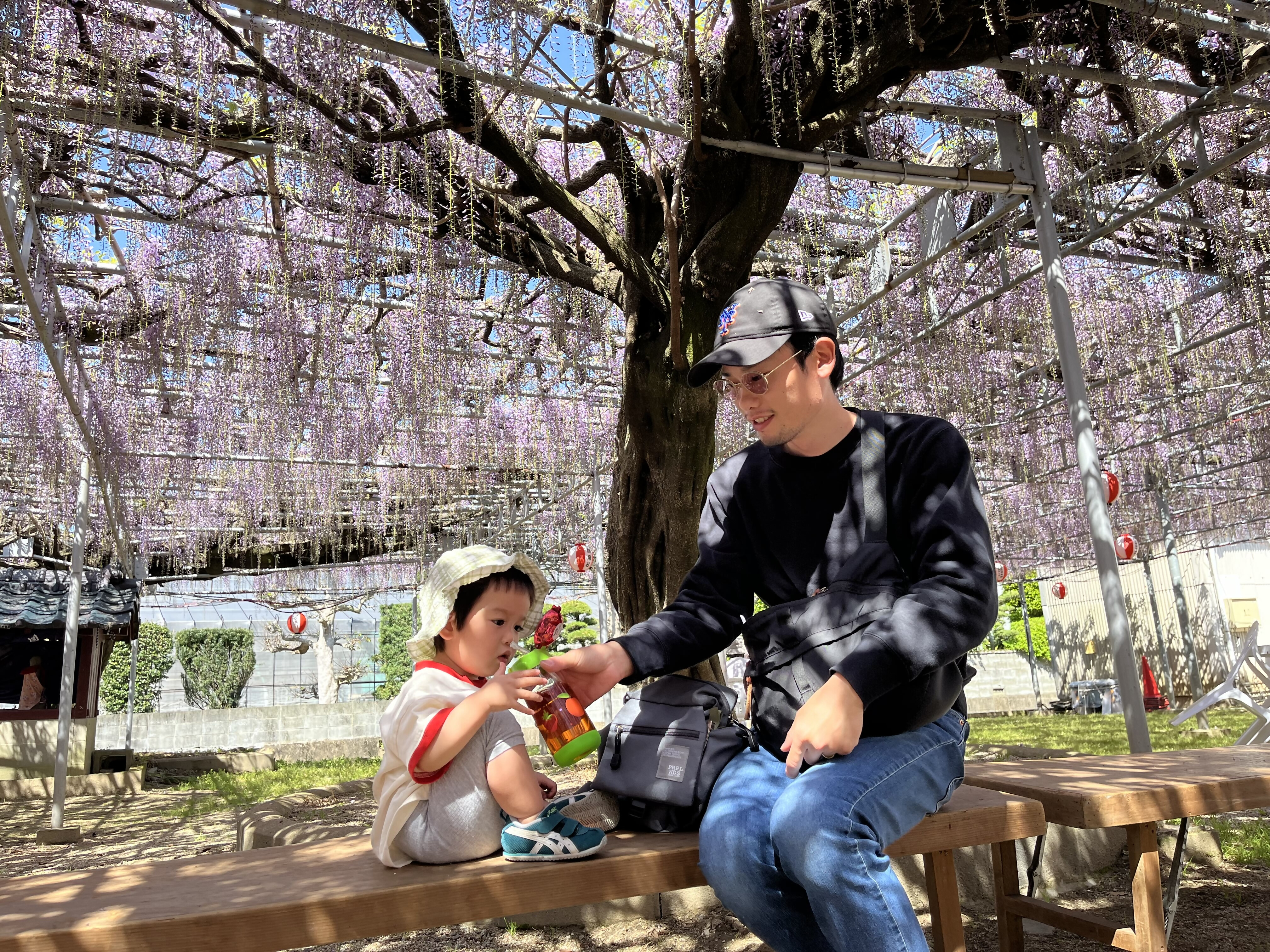 優秀賞　藤の下でひと休みの画像