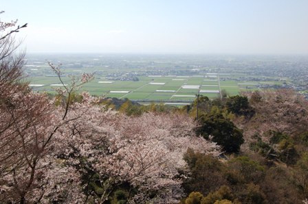 清水公園の画像