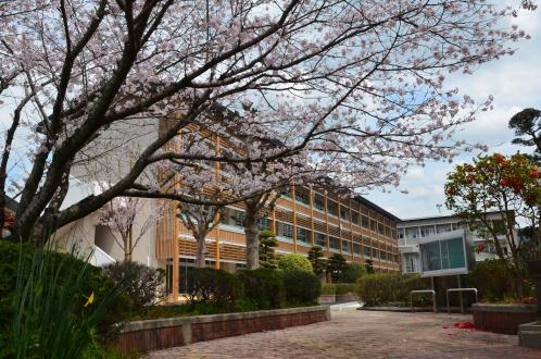 桜舞館小学校外観