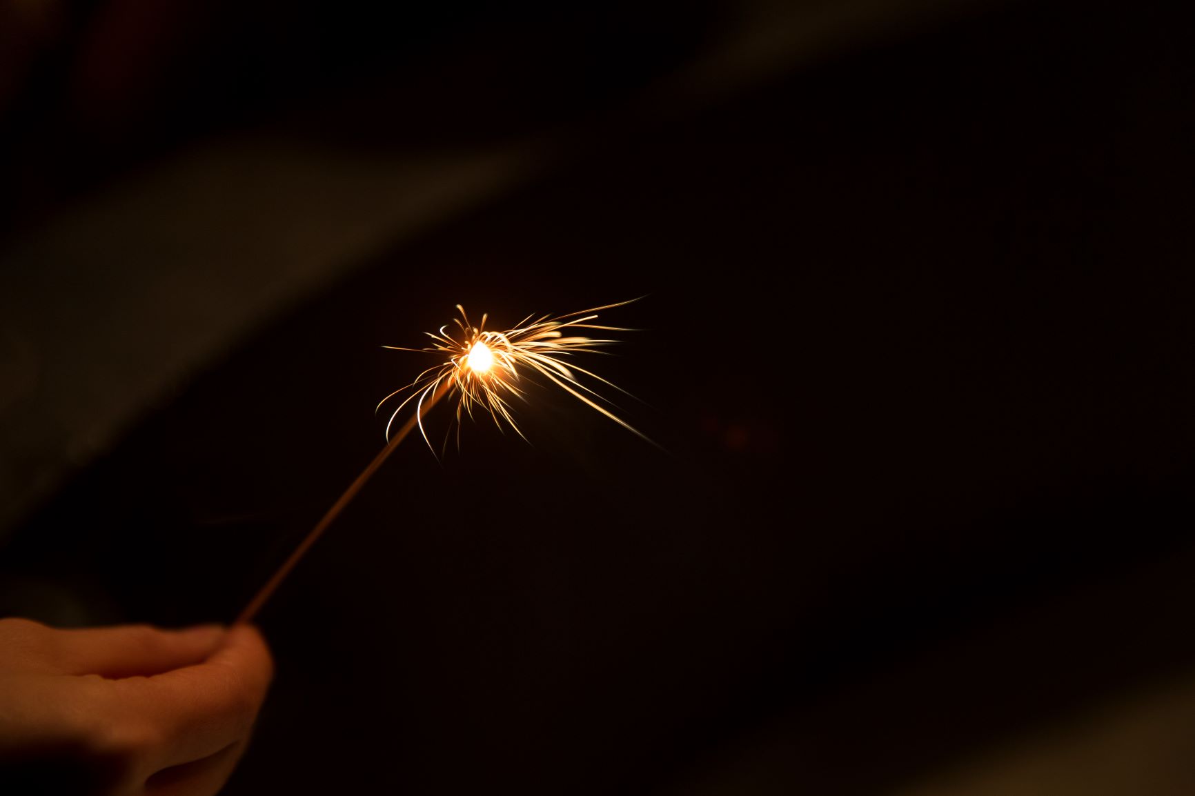 スボ手牡丹の画像