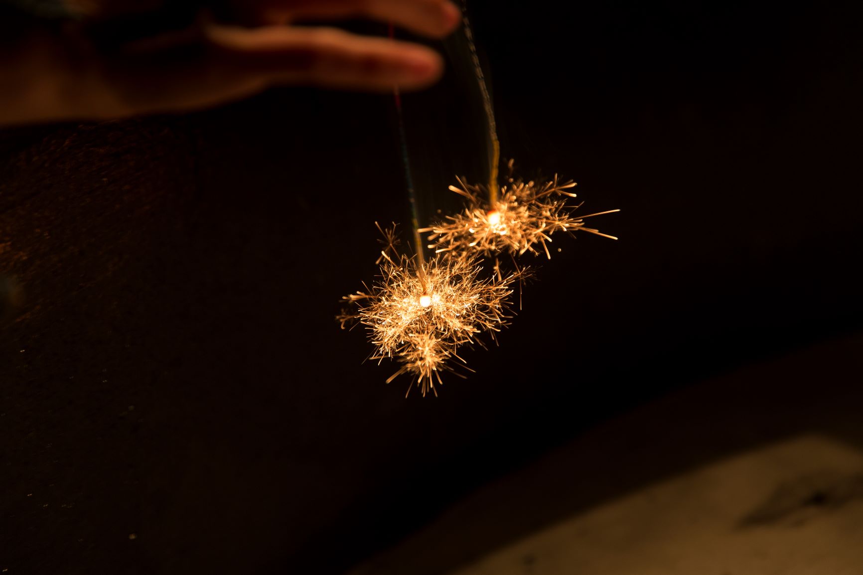 長手牡丹の画像