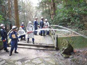 の画像