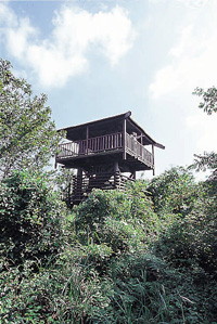 女山史跡森林-公園展望台