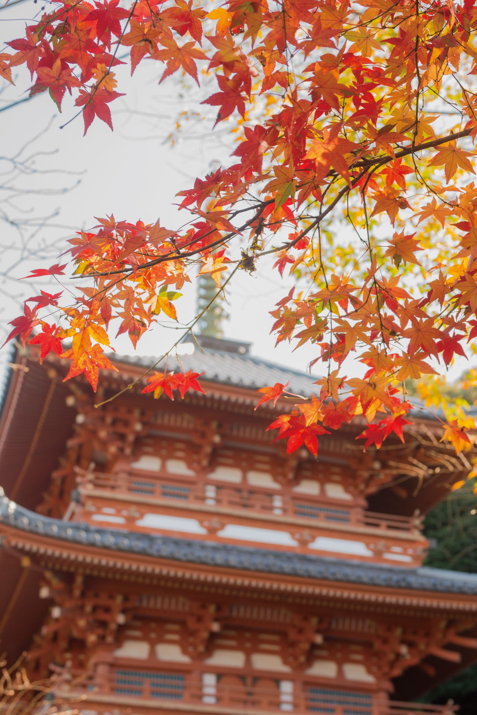みやま市観光ガイドブック『みやまの旅』（表紙）