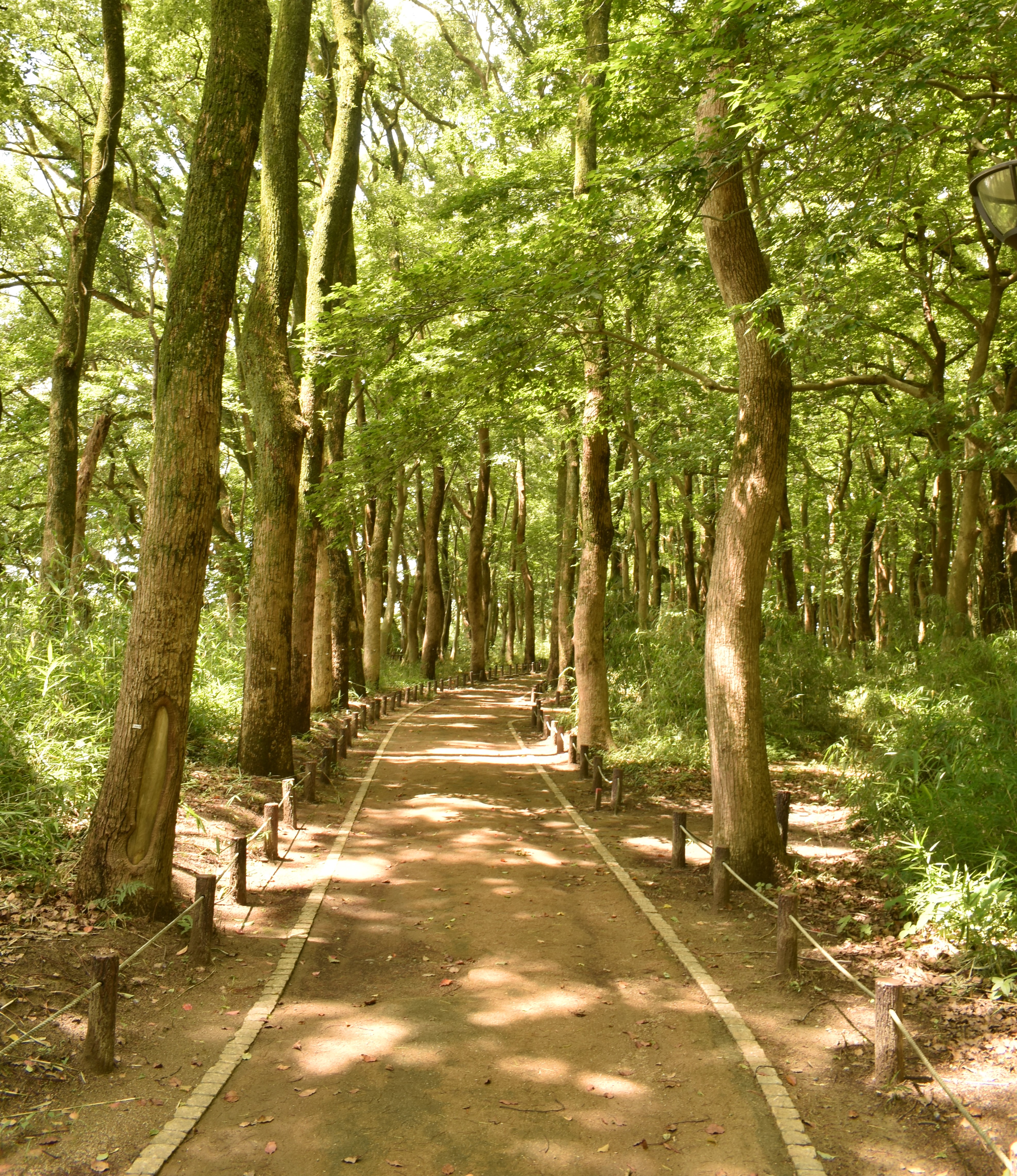 nakanoshimapark3.jpg