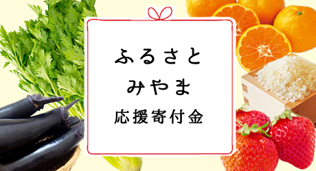 ふるさとみやま応援寄付金の画像